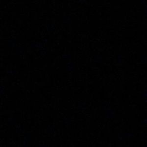 Meet your Posher, Billy